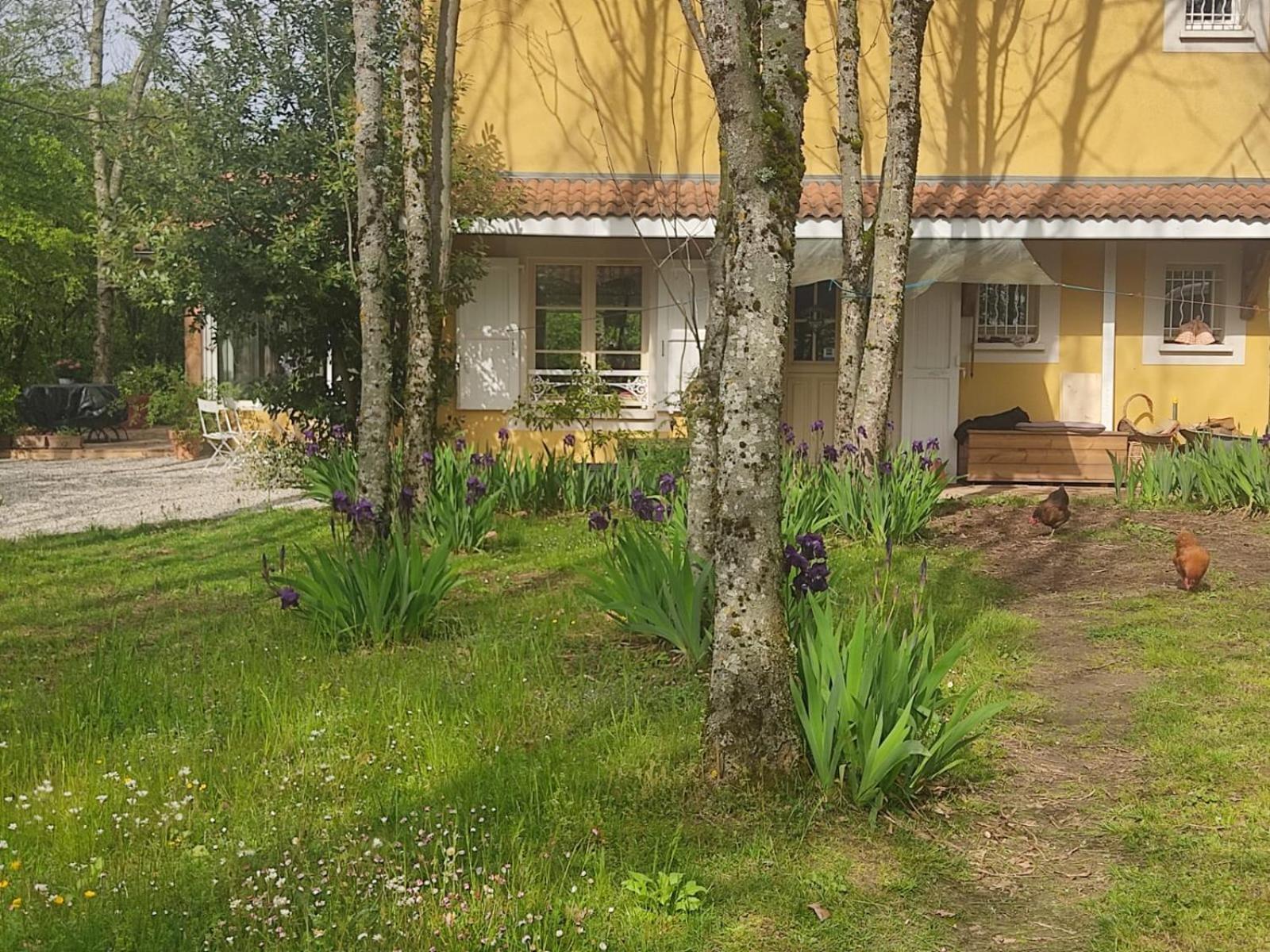 La Frenaie Saint-Cyr-sur-le-Rhone Exterior foto